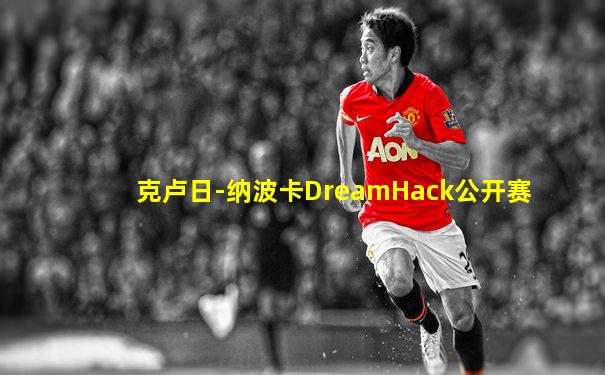 克卢日-纳波卡DreamHack公开赛