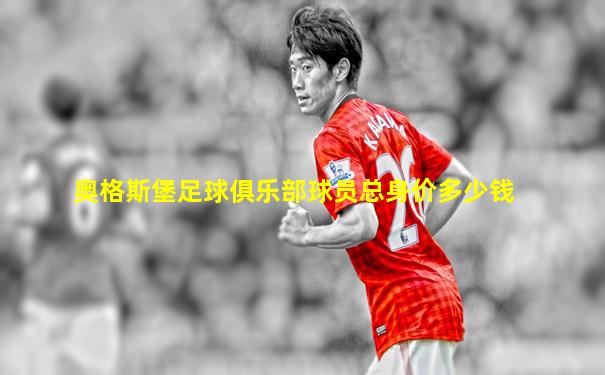 奥格斯堡足球俱乐部球员总身价多少钱
