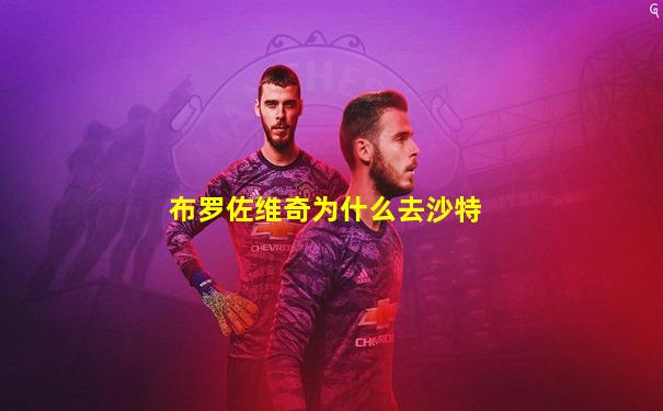 布罗佐维奇为什么去沙特