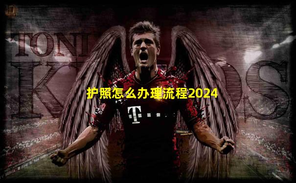 护照怎么办理流程2024