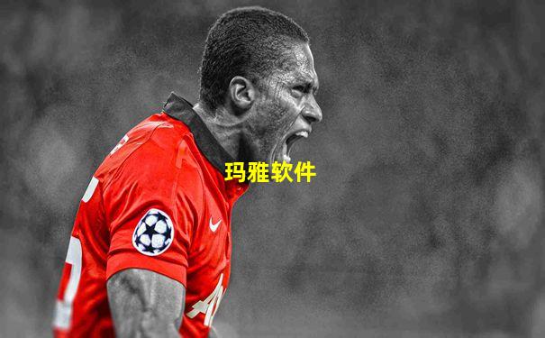 玛雅软件