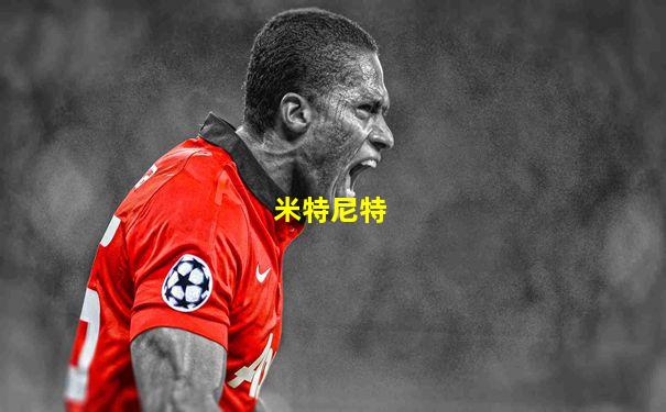 米特尼特